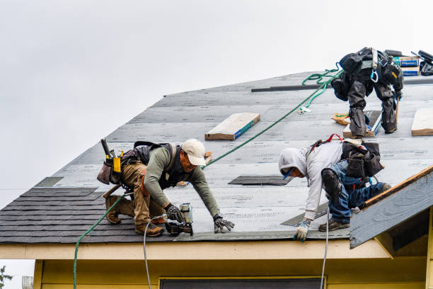 Professional Roofing technician working in Lexington, OR