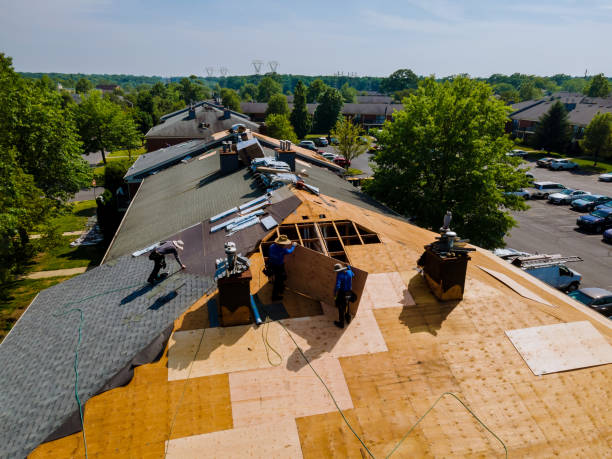 Trusted Metal Roofing service in Lexington, OR - Brentwood Metal Roofing